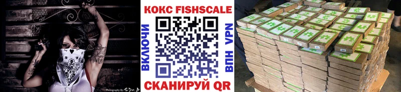 Cocaine FishScale  продажа наркотиков  Гусев 