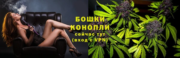 ешки Инта